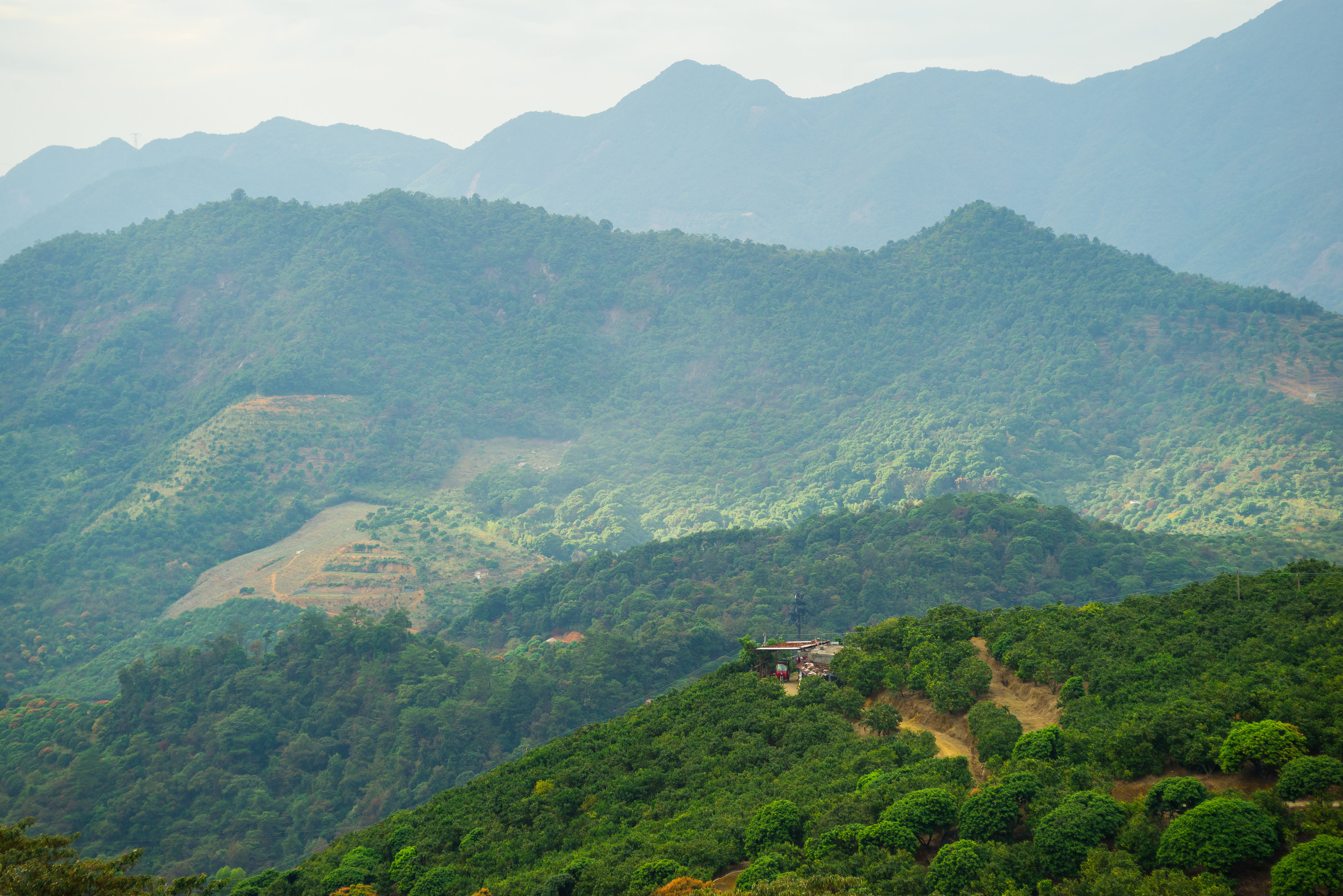 Land Investment Advisory Services – Secure Your Future with Genuine Plots