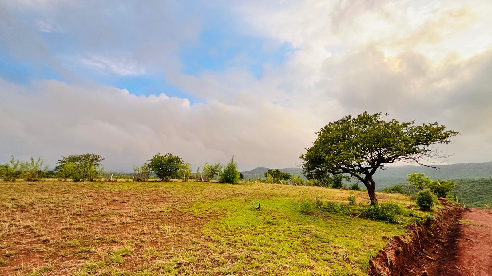 Greenhill Meadows Bhor