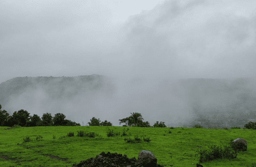 Kingsbay Paud Pune