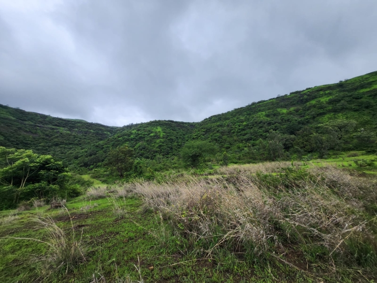 Aquawoods Farmland Pune