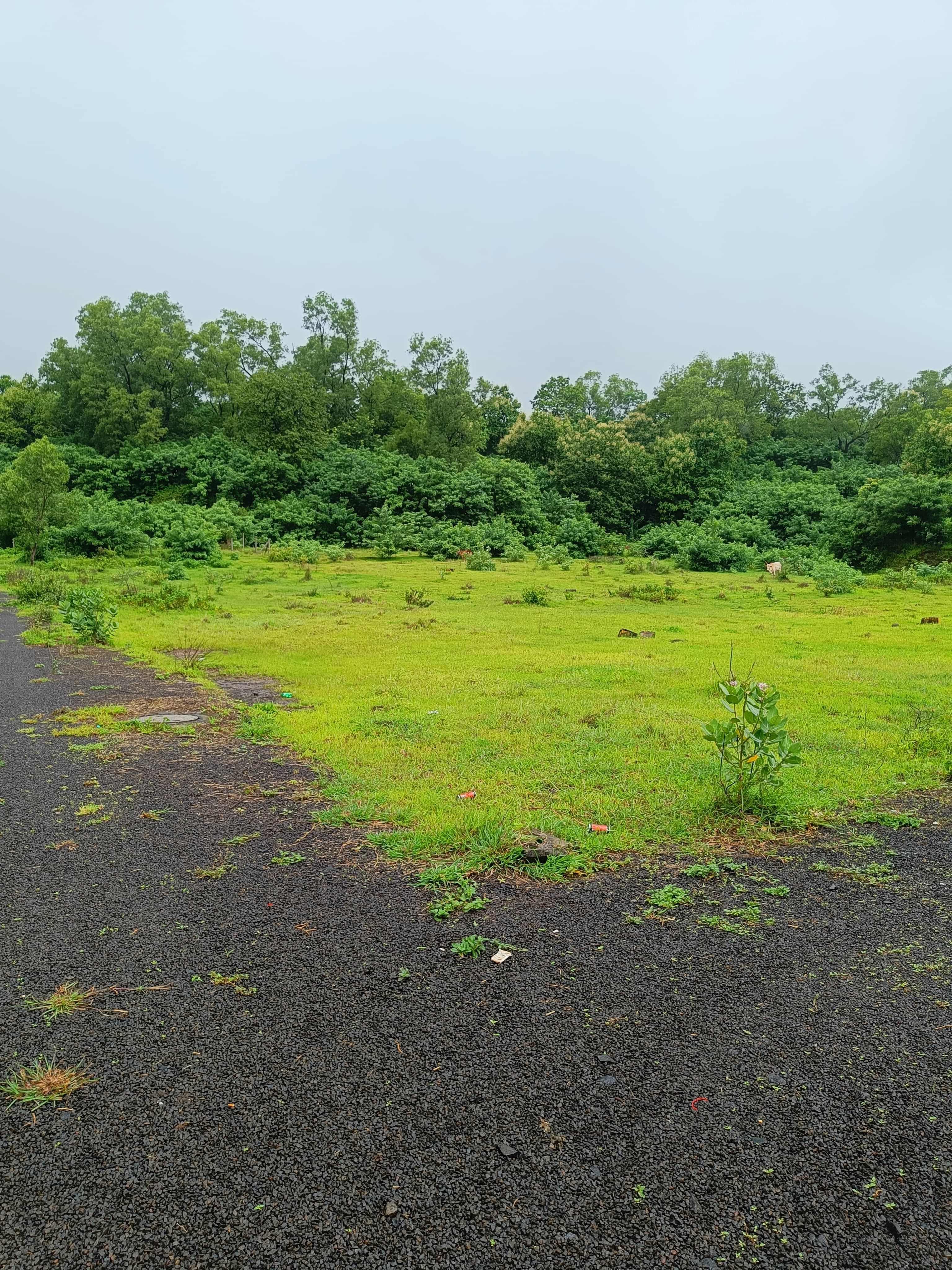 Individual R Zone plot for sale in Mawal Pune