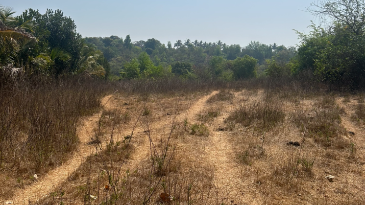 Jk.Land Kokan