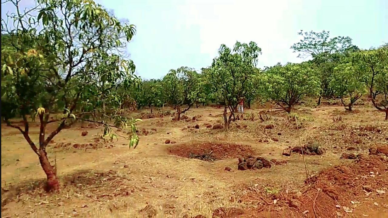 3.5 acre agricultural plot for sale in Mangaon Raigad