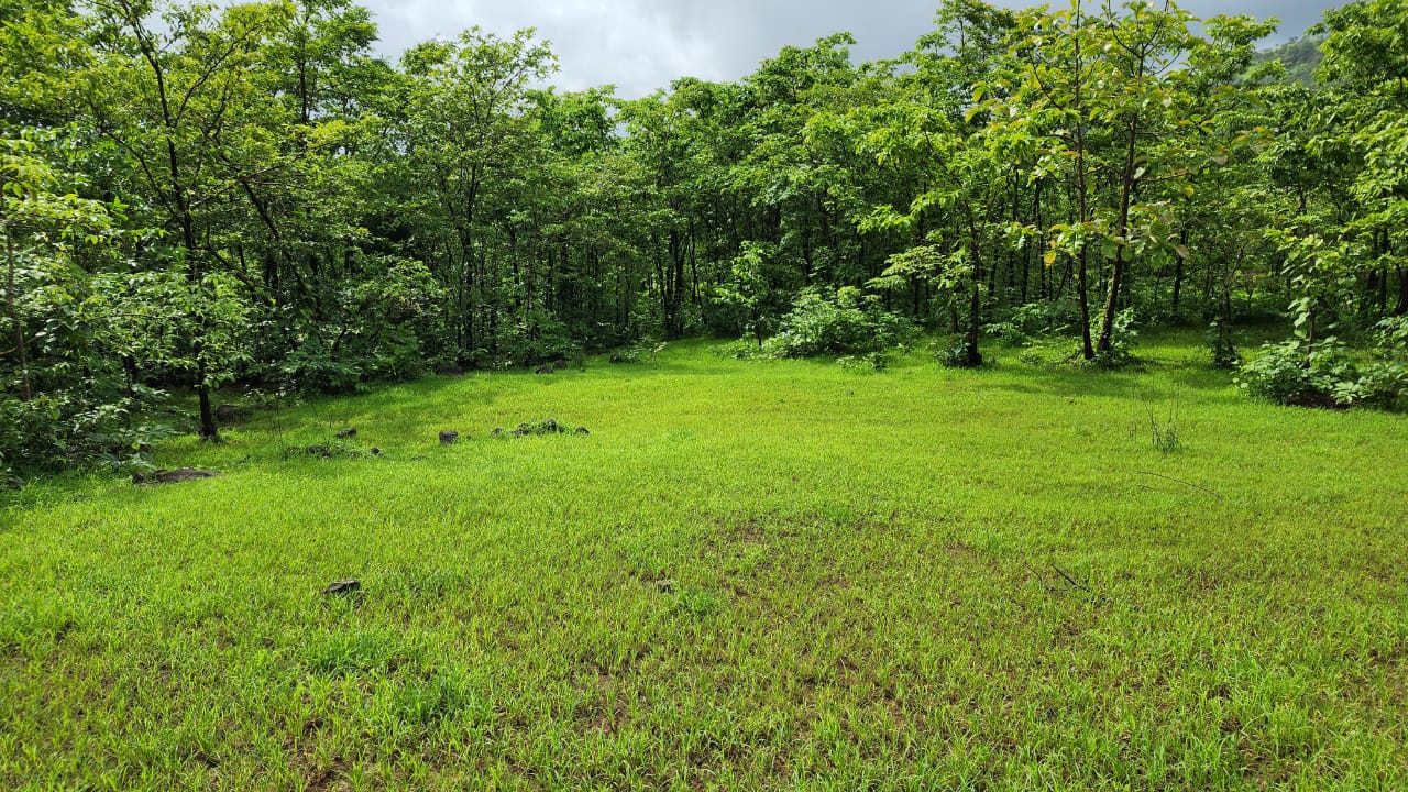 Agriculture land for sale in Mahad Raigad