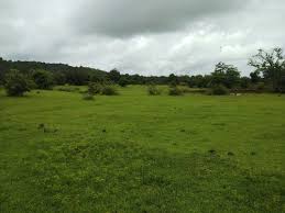 Labhi Farms Pune