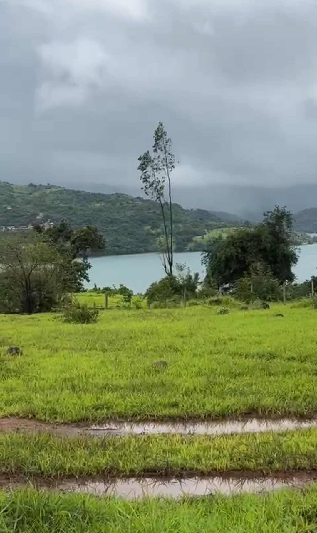 Premium Agriculture Plot Available In Chikhali Pune
