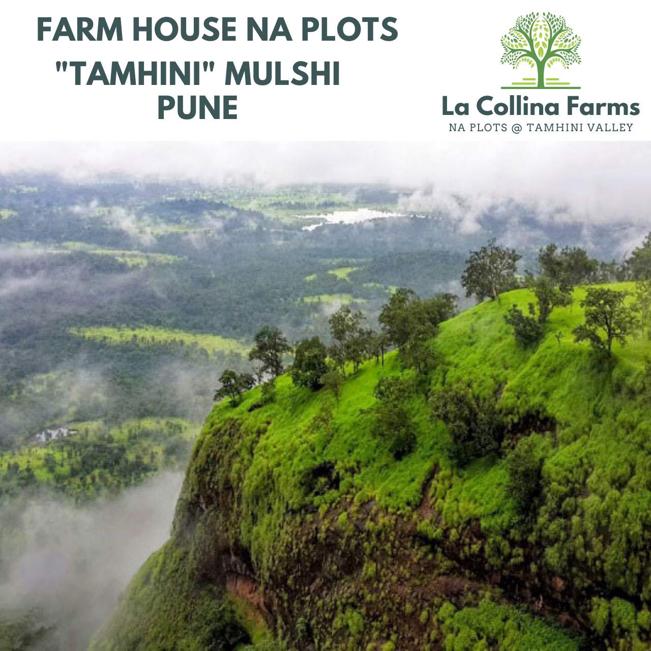 La Collina Farm Pune
