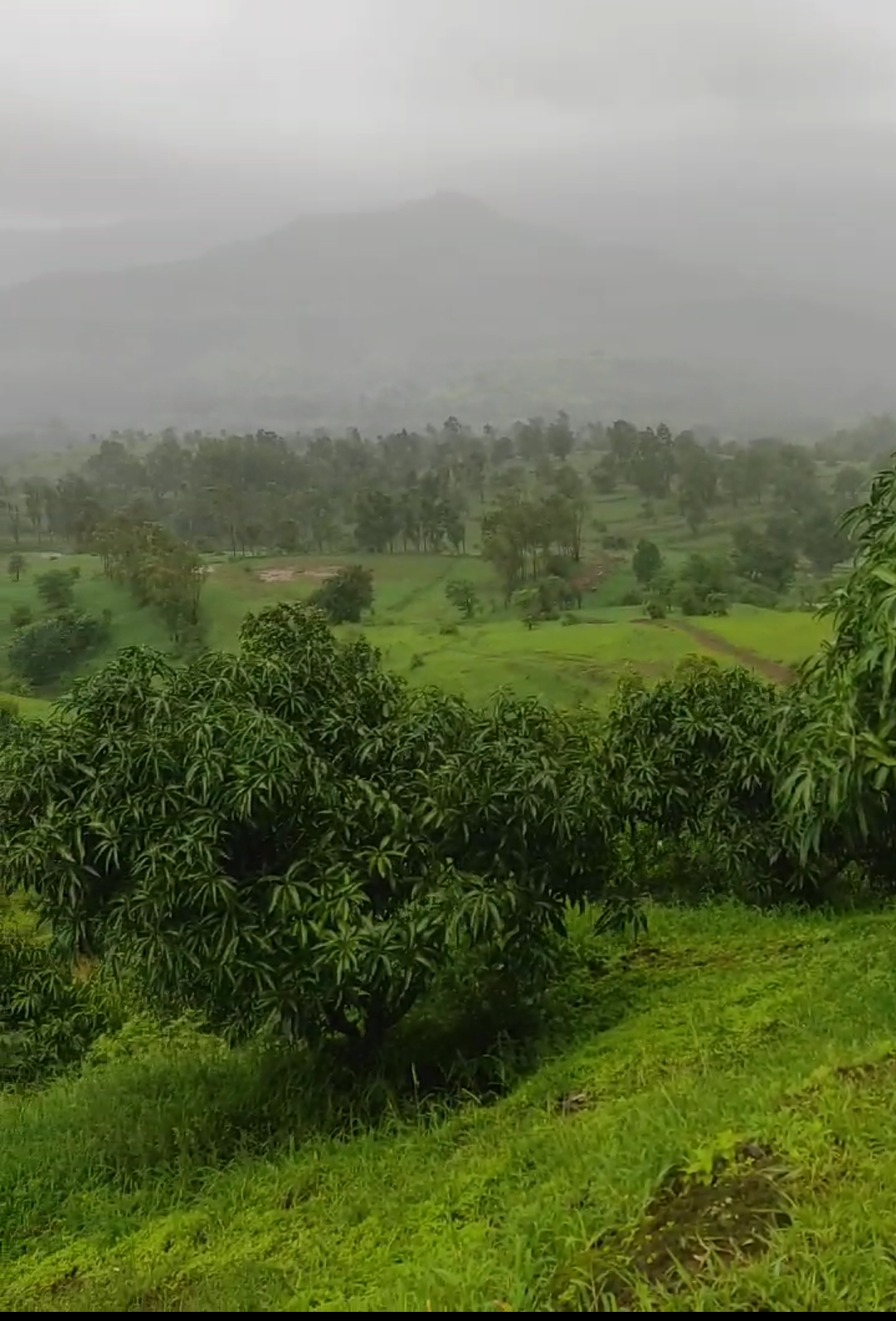 Agriculture Land Available For Sale In Bhor Pune