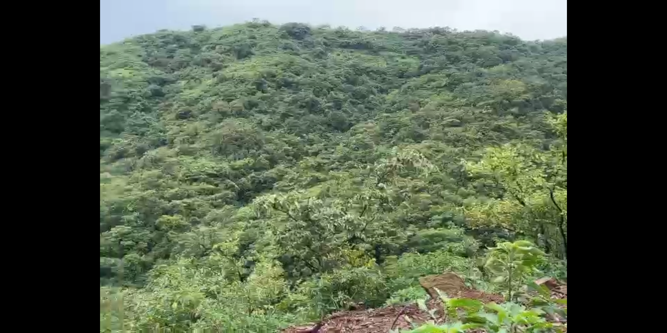 Luxurious Agriculture Plot in Chikhali Pune