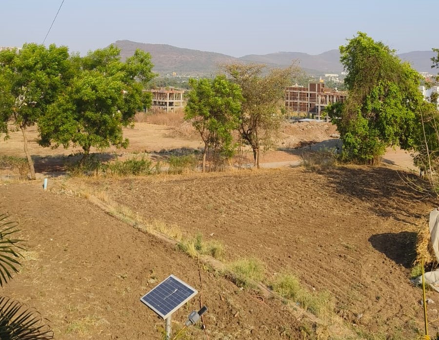 Goldmark Serene Pune