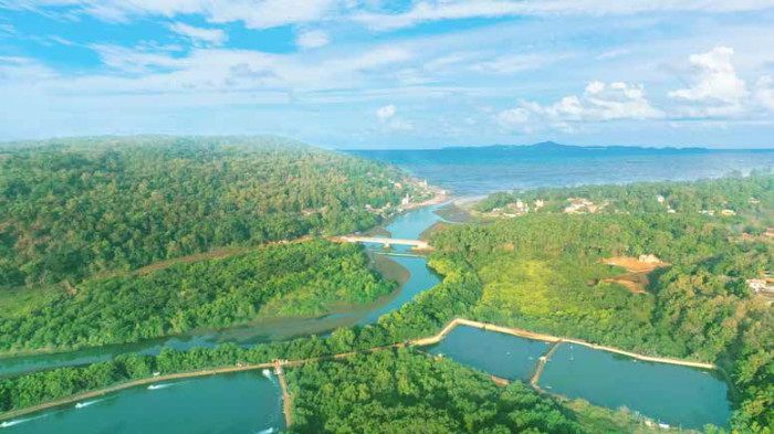 Cape of Bliss Kokan