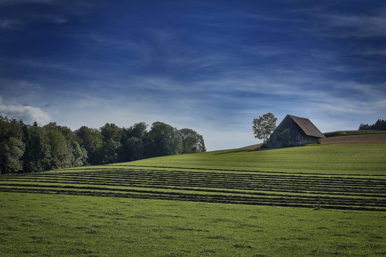 Individual Agriculture Land
